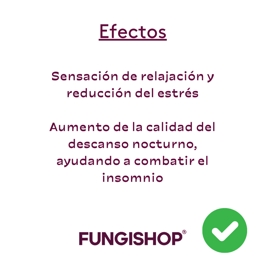 REISHI EN CÁPSULAS