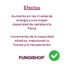 TINTURA MADRE DE CORDYCEPS