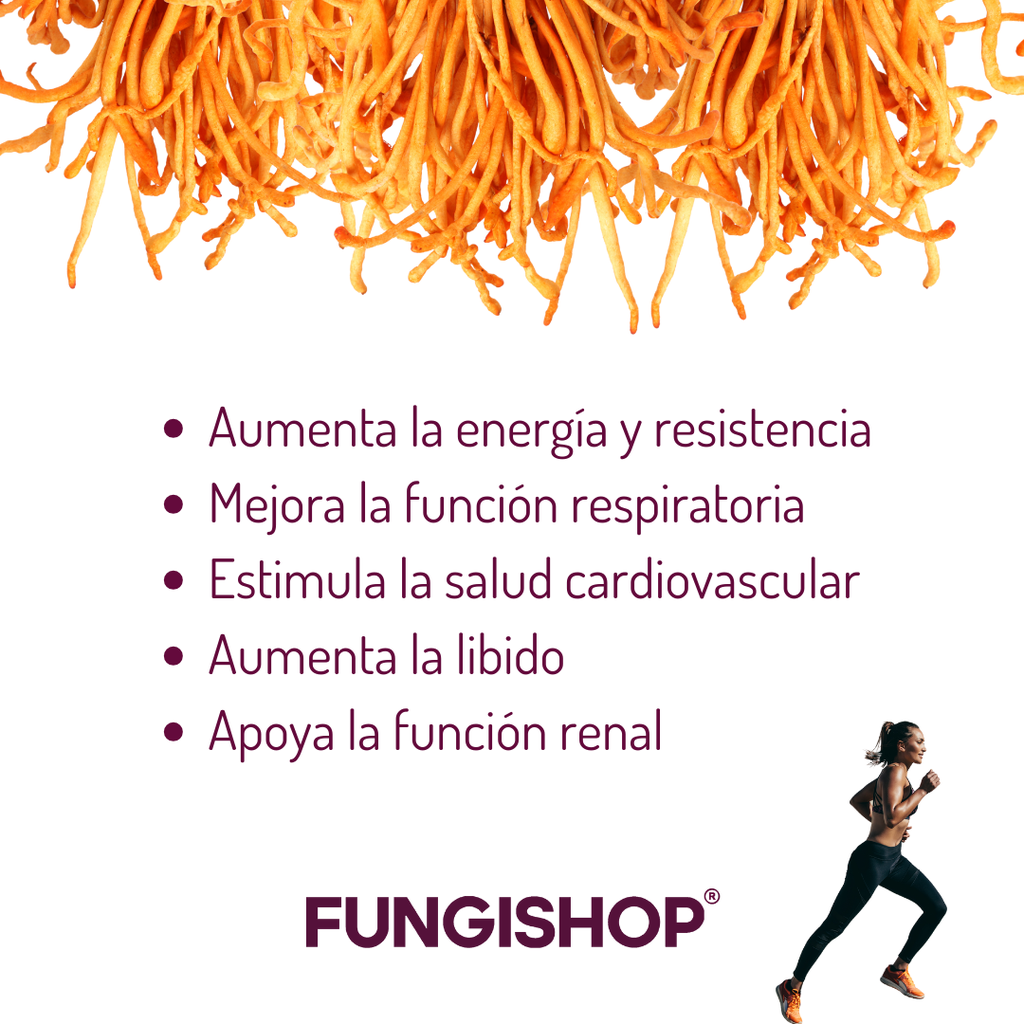 CORDYCEPS EN CÁPSULAS