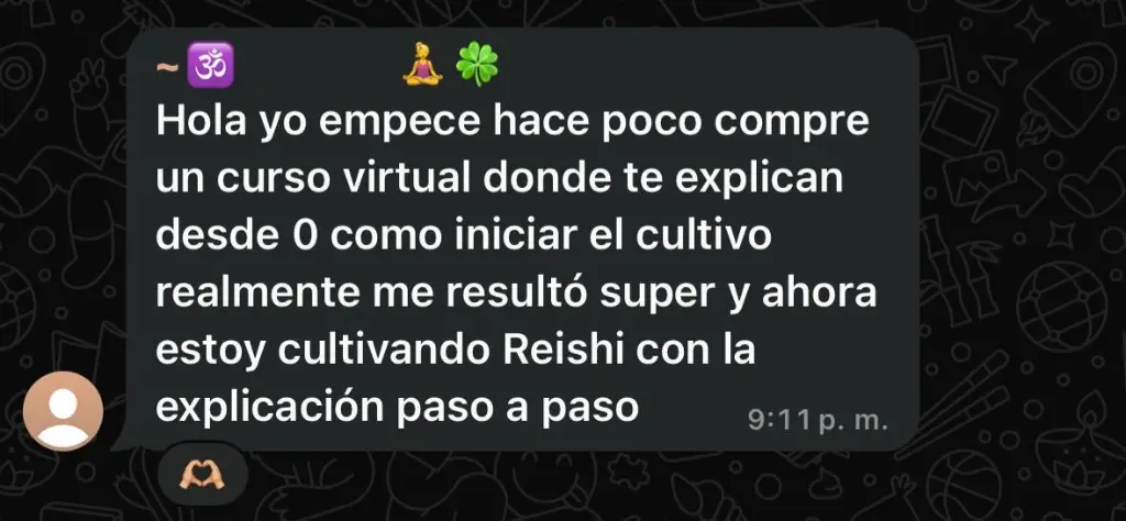 WhatsApp Image 2025-05-31 at 22.52.50.webp