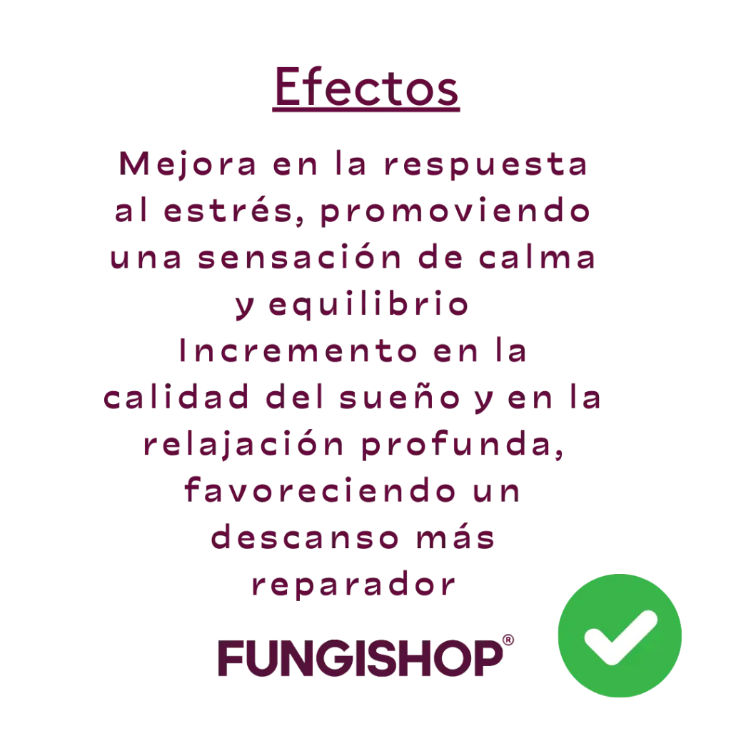 23.webp