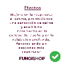23.webp