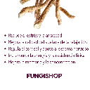 22.webp