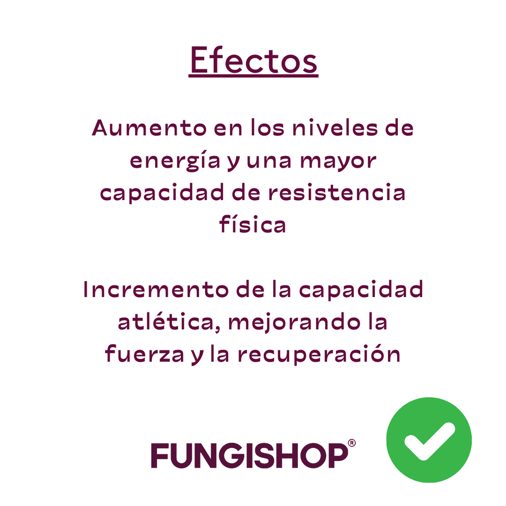 CORDYCEPS EN CÁPSULAS