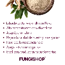 24.webp