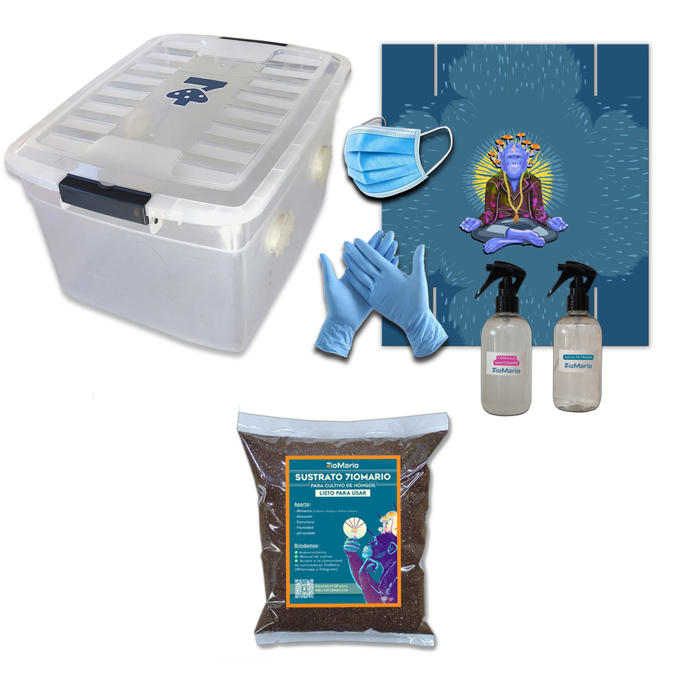 [KSPO] KIT SPORE