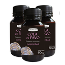 COLA DE PAVO - PACK X 3