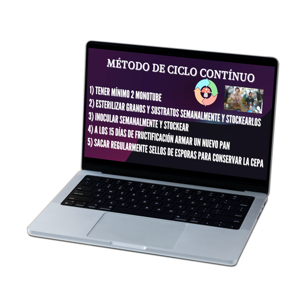 [CURSO] CURSO INICIAL