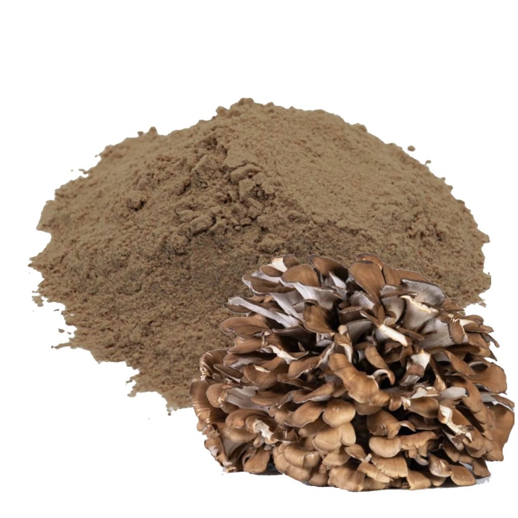 MAITAKE - 1 KILO (MOLIDO)