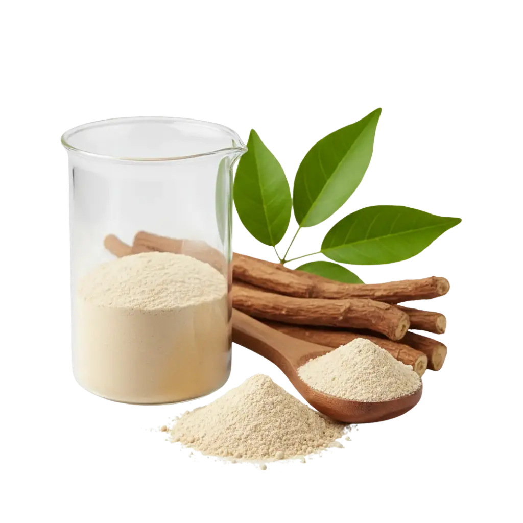 EXTRACTO ASHWAGANDHA - 500 GR (MOLIDO) (MAYORISTA)