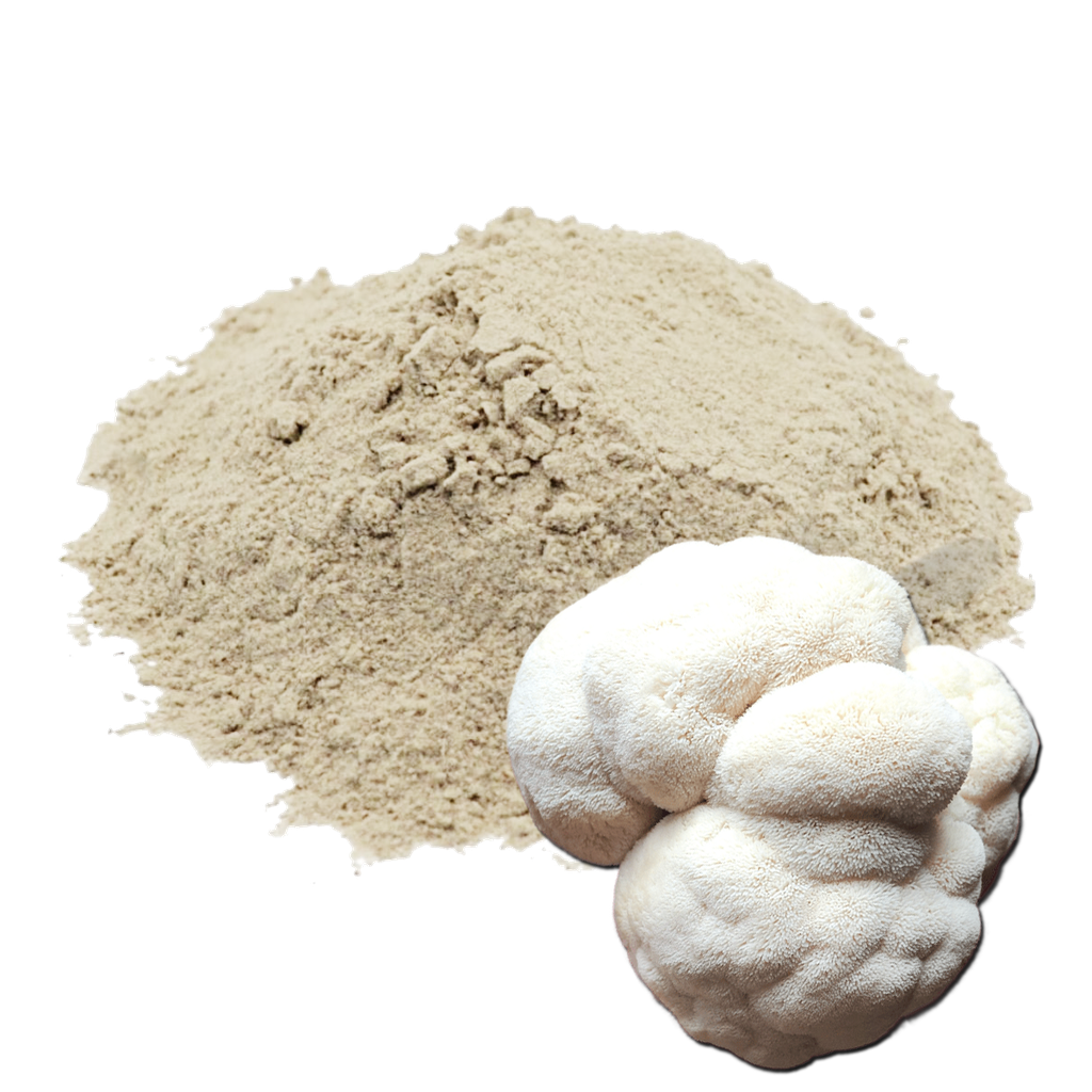 MELENA DE LEÓN - 500 GR (MOLIDO) (MAYORISTA)