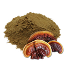 REISHI - 500 GR (MOLIDO) (MAYORISTA)