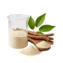 EXTRACTO SECO REISHI - 1 KILO (POLVO)